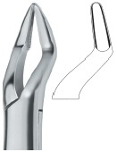 Tooth Ext Forceps Amr